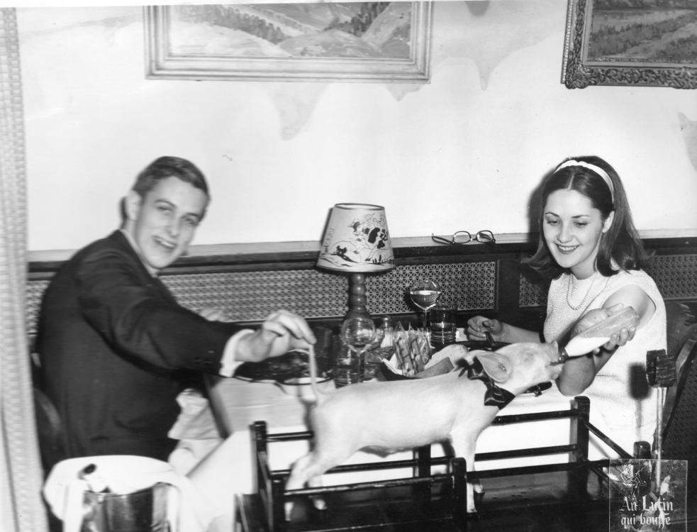 Voyage de noces-Montréal, 1965